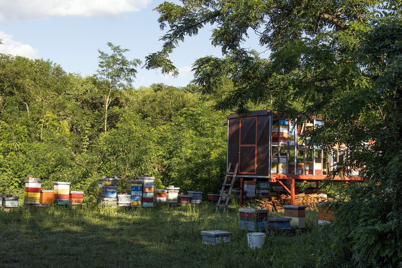Farm Ong Dú Ea Kar