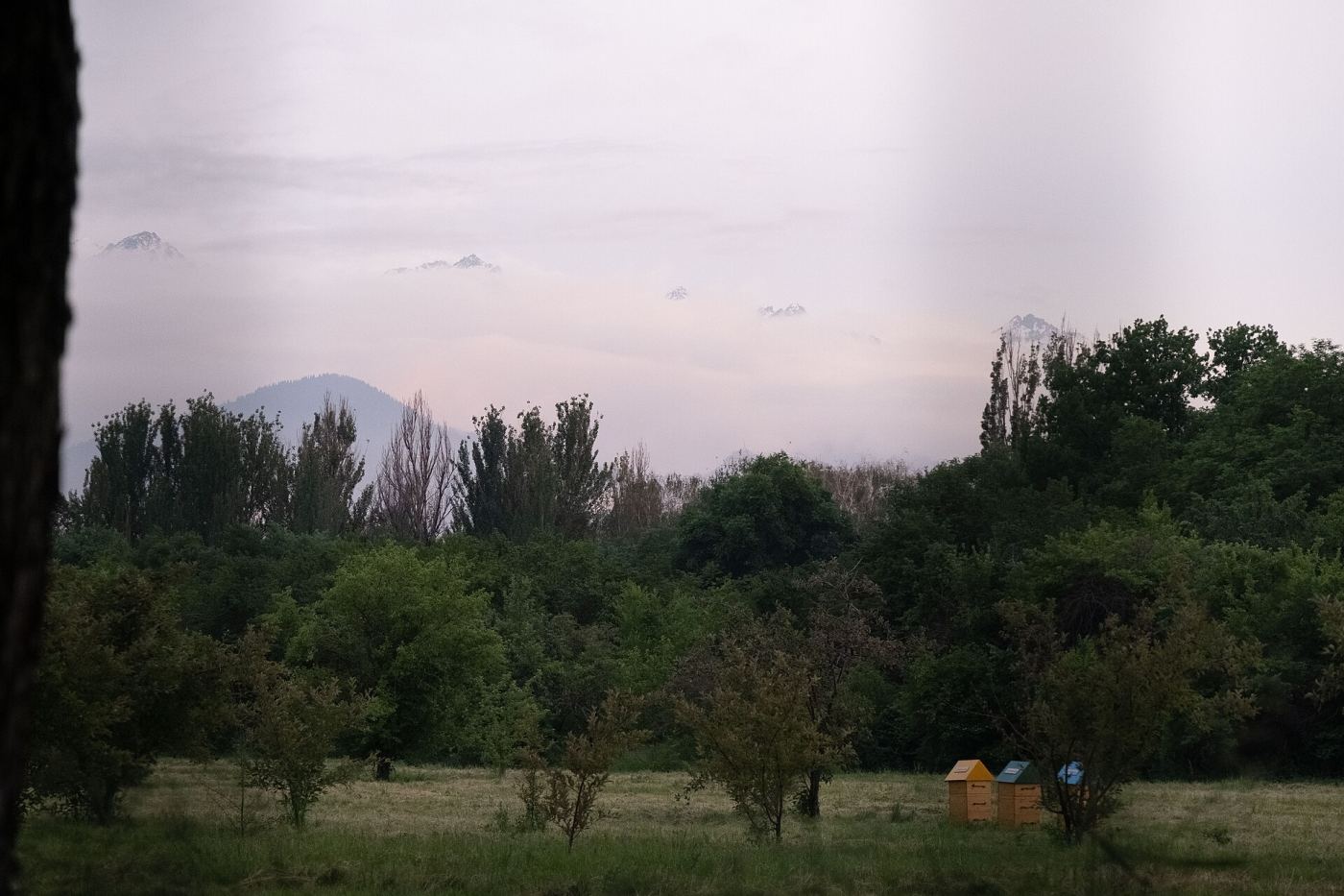 Farm Ong Dú Krông Pách