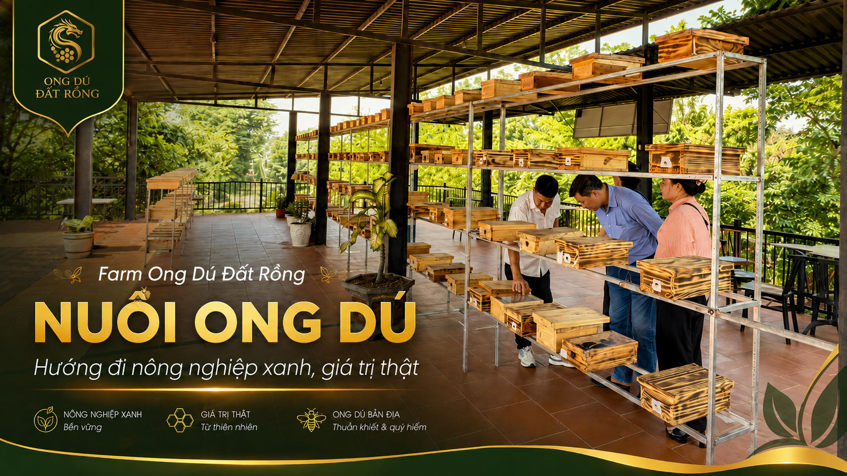 Nuôi Ong Dú - Làm chơi ăn thật