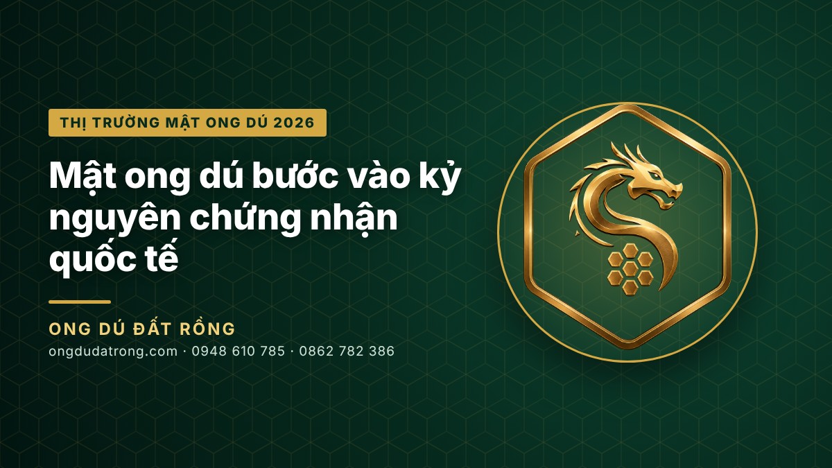 Stingless Bee Honey Enters the Era of International Certification: News from Kuala Lumpur 2026