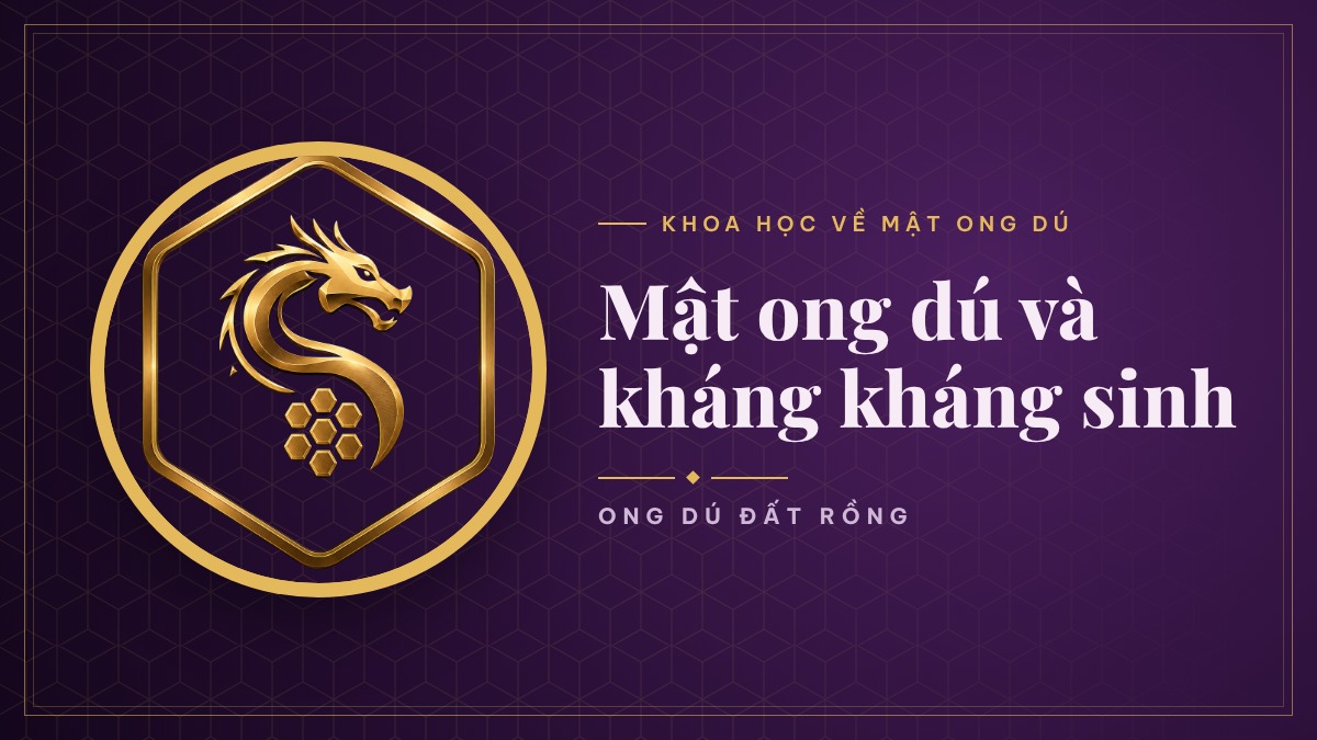 Mật ong dú và cuộc chiến chống kháng kháng sinh: Các nhà khoa học đang phát hiện điều gì?