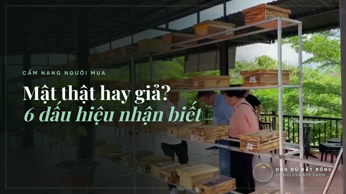 REAL OR FAKE STINGLESS BEE HONEY: SIX CHECKS ANYONE CAN DO