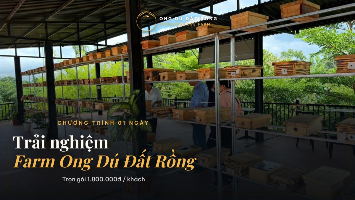 TRẢI NGHIỆM 01 NGÀY TẠI FARM ONG DÚ ĐẤT RỒNG: THAM QUAN, THƯỞNG THỨC MẬT VÀ NHẬN QUÀ TỔ ONG