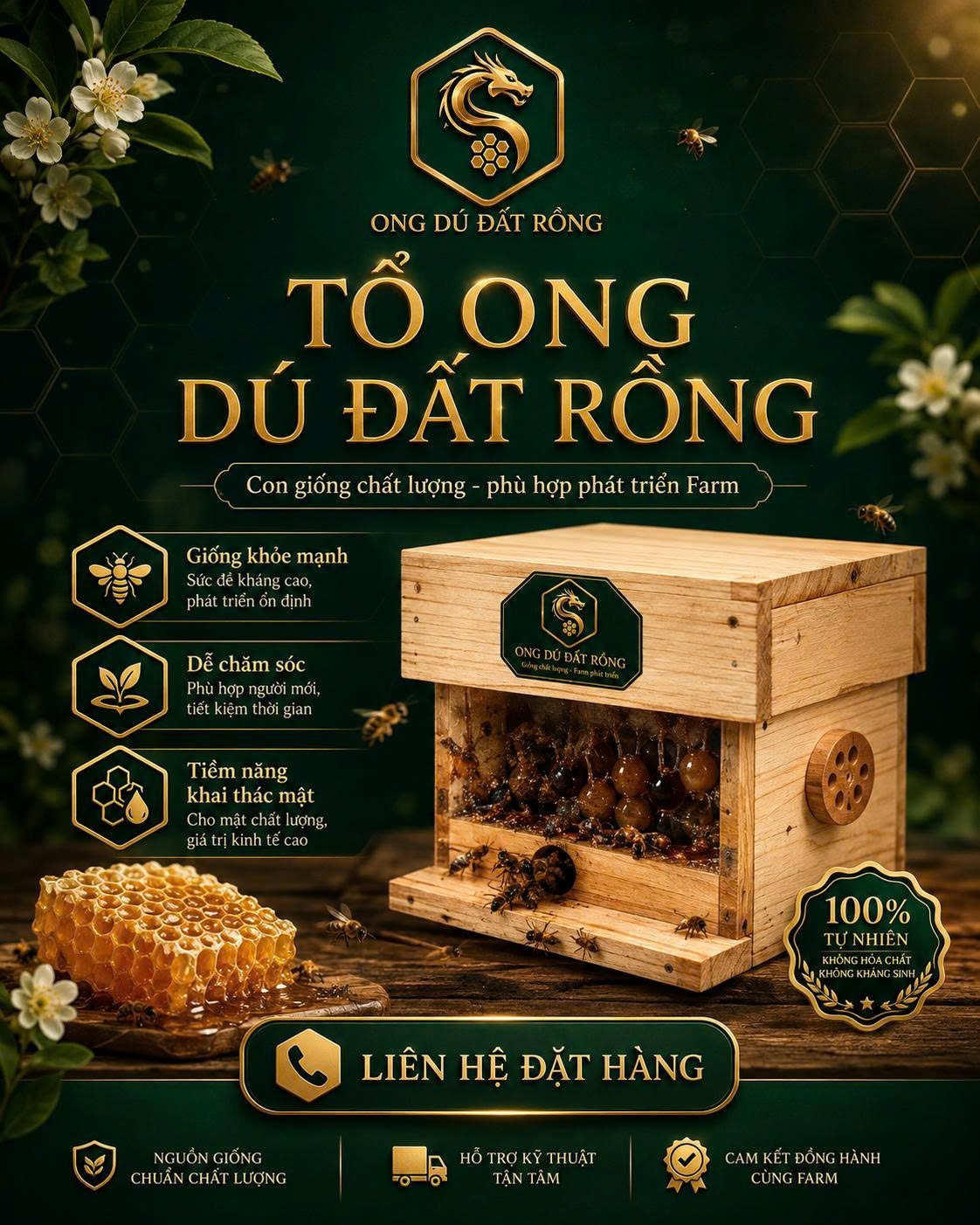 Tổ ong dú giống Đất Rồng